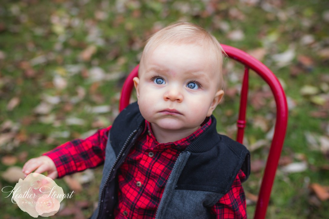 HH Sneak Peek Christmas-28