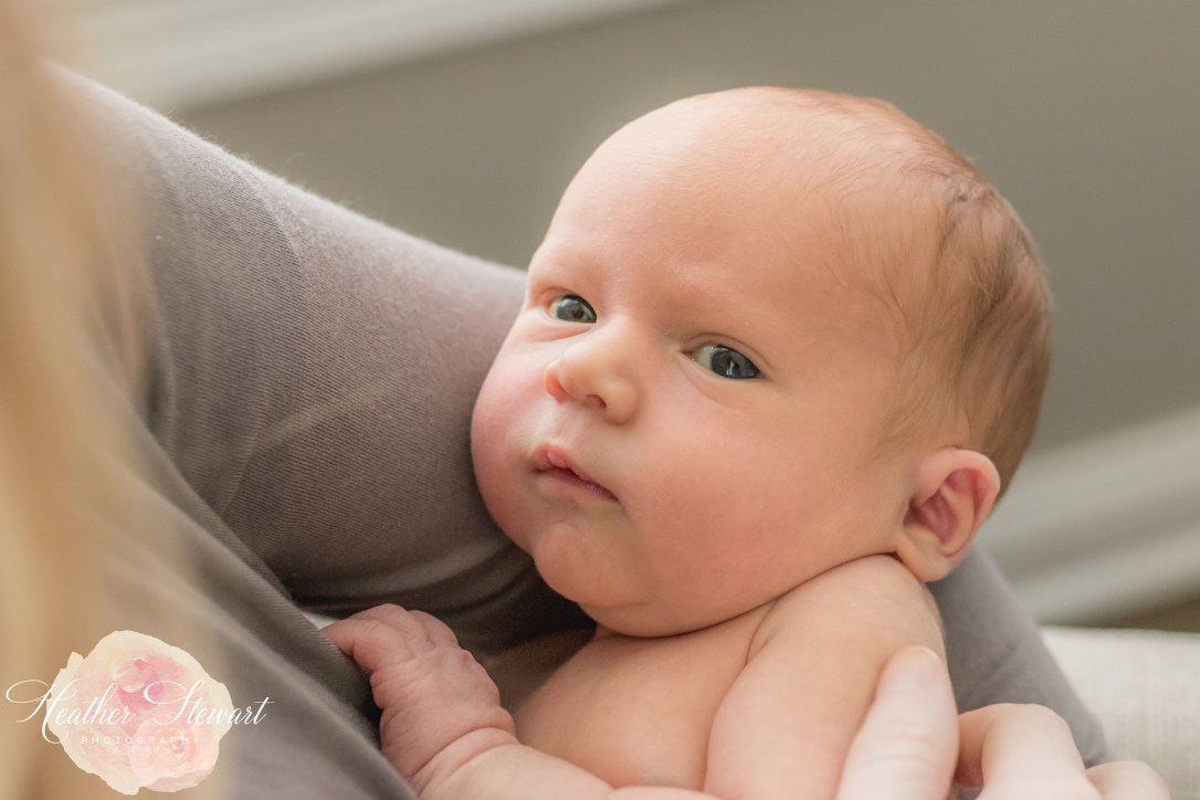 Newborn Web-15